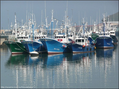 El sector primario pesca